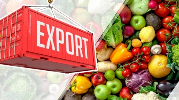Uzbekistan exported fruits and vegetables worth $1.5 billion
