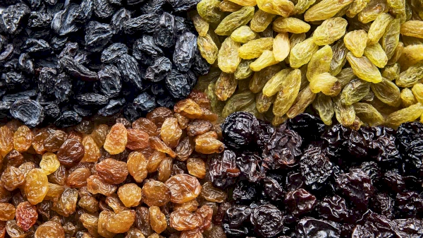 How much raisins has Uzbekistan exported?