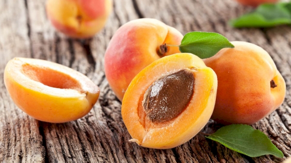 Uzbekistan exported apricots to 14 countries