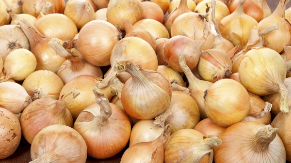 Onions in Uzbekistan and Tajikistan are sold at low prices