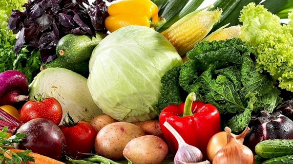 9.9 million tons of vegetables were produced in 9 months