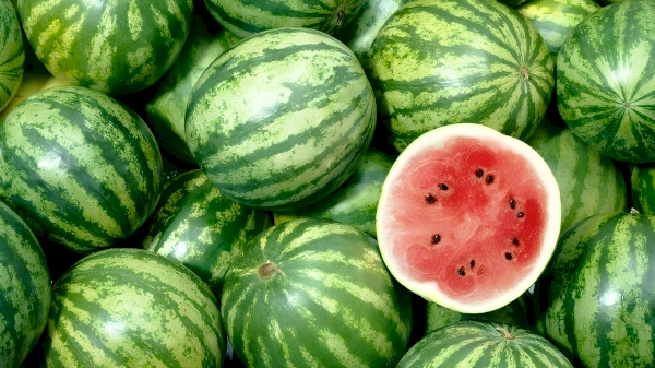 Kashkadarya Watermelon Exports: 3,000 Tons Abroad