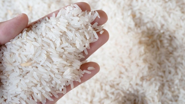 Uzbekistan Exported 14.8 Thousand Tons of Rice