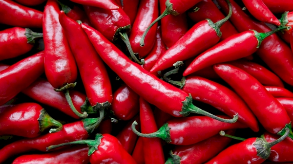 The Republic of Uzbekistan exported 5,038 tons of chili peppers in 2024