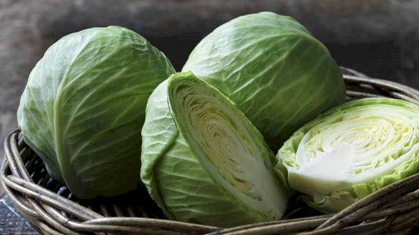 9.4 Thousand Tons of Cabbage Exported in January
