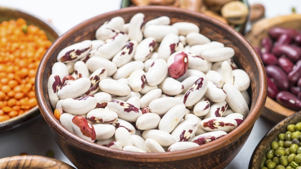 Uzbekistan exported beans worth $158.5 million