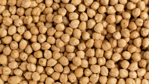 Uzbekistan produces over 33,000 tons of chickpeas