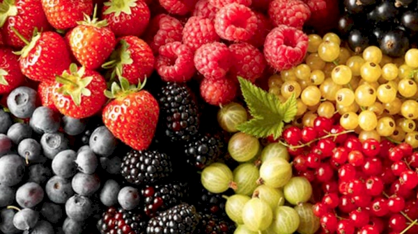 Over 2.5M tons of fruits and berries in 9 months