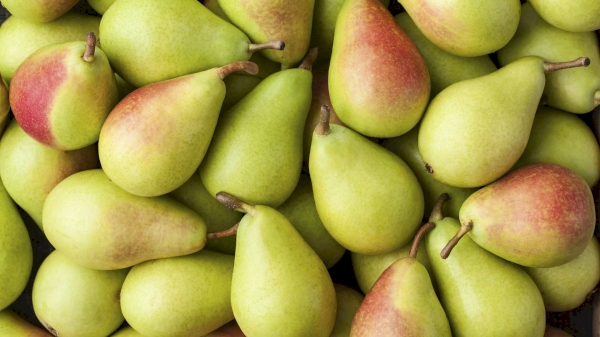 Pear export: which countries are the main buyers?