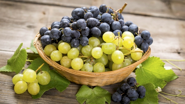 1.5 million tons of grapes were produced in 9 months
