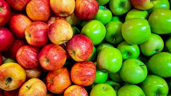 Uzbekistan exported 25.5 thousand tons of apples