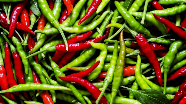 How much pepper did Uzbekistan export?