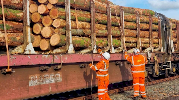 How much timber and board materials were transported by rail within 9 months?