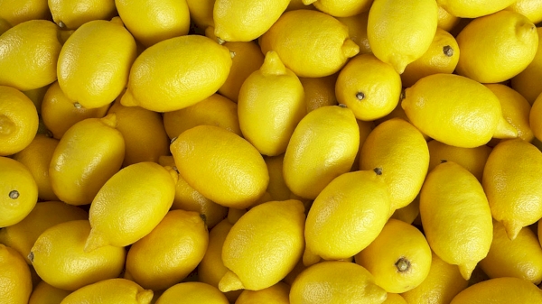 Uzbekistan exported 2.9 tons of lemons to the UAE