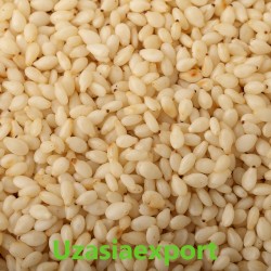 Sesame