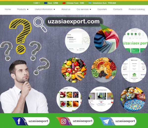 Why Uzasiaexport.com?